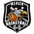 梅尔辛女篮 队徽